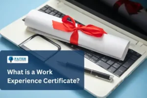 work experience certificate