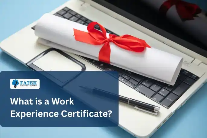 work experience certificate
