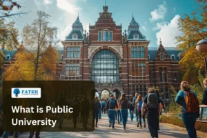 What is public university