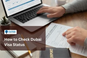 Dubai visa status tracking
